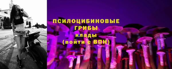 MDMA Premium VHQ Дмитриев