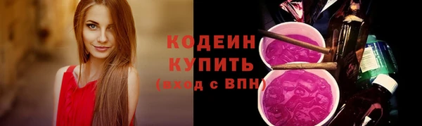 амф Дмитров