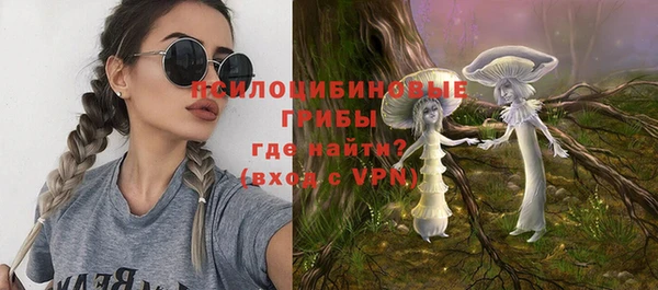 амф Дмитров