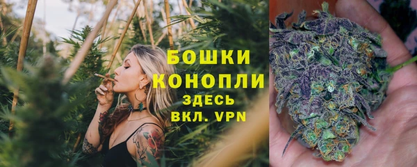 амф Дмитров