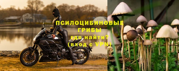 сатива Дмитровск