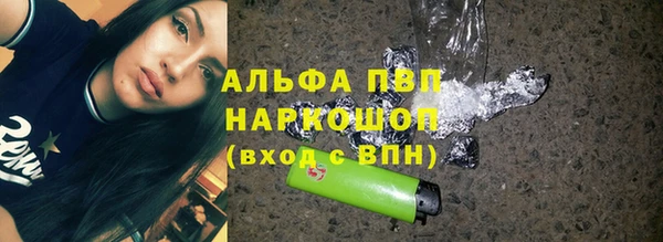сатива Дмитровск
