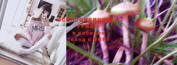 амф Дмитров