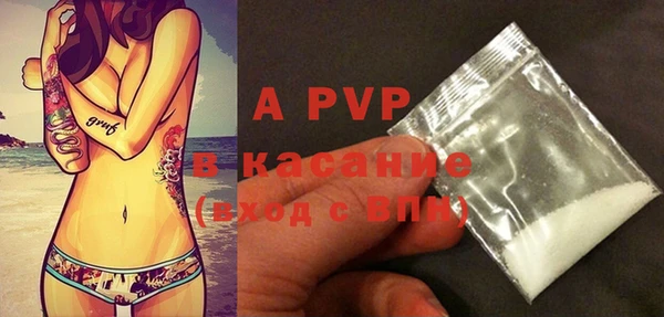 spice Ельня