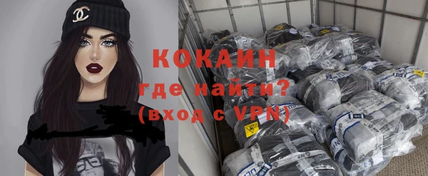 сатива Дмитровск