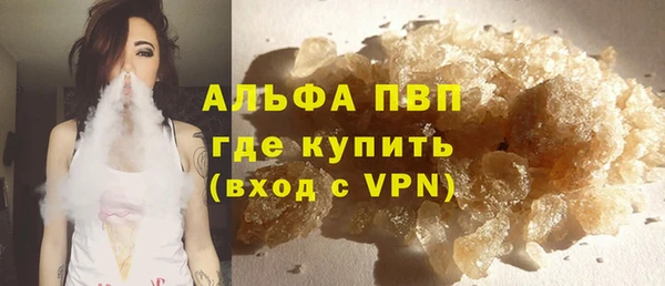 сатива Дмитровск
