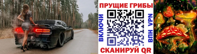 Галлюциногенные грибы Psilocybine cubensis Купить где Берёзовка